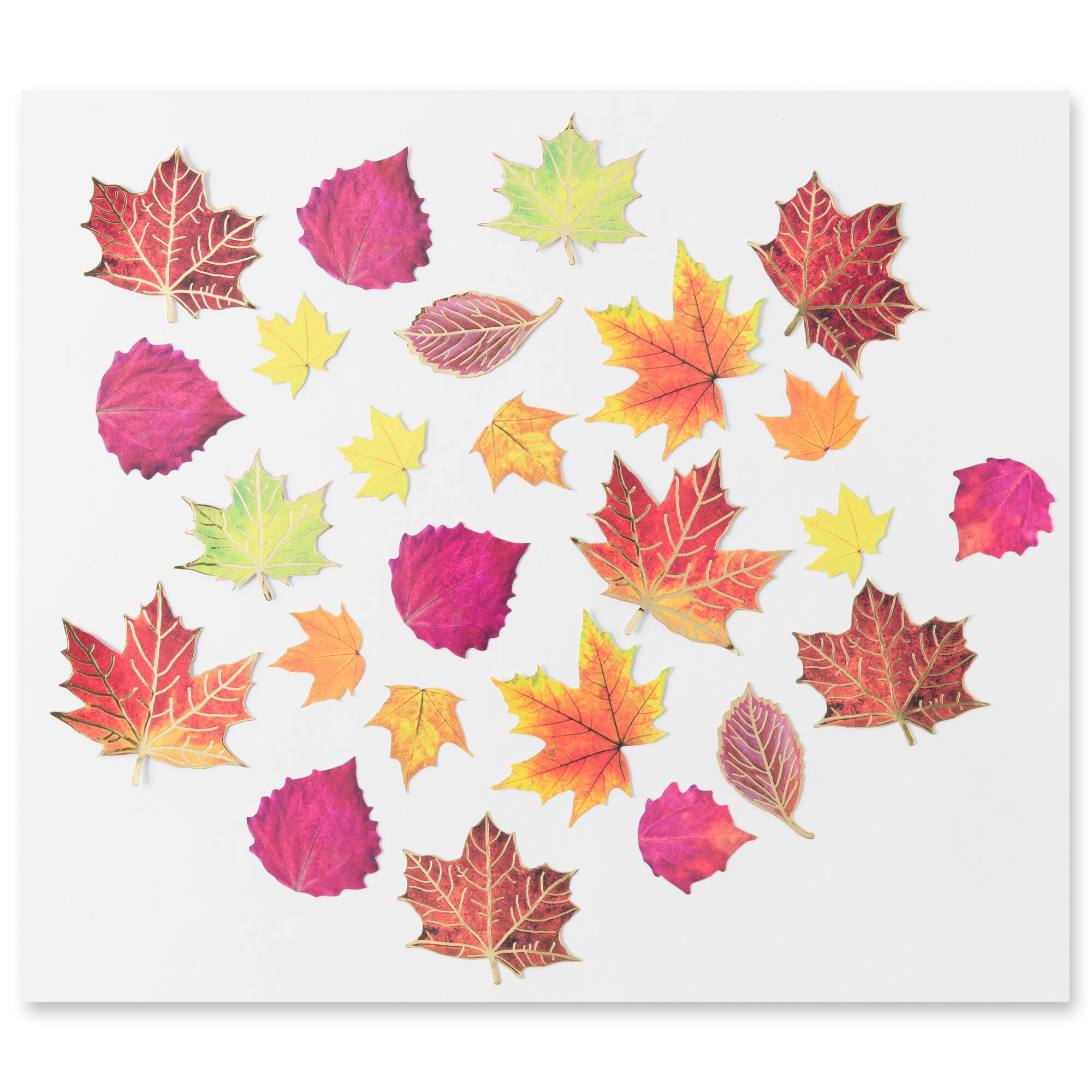 Fall Leaf Die Cut Stickers by Recollections™